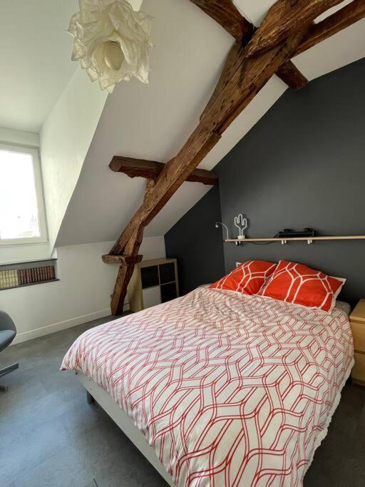Duplex De Charme En Centre Ville Avec Terrasse 브리브라가야르드 외부 사진